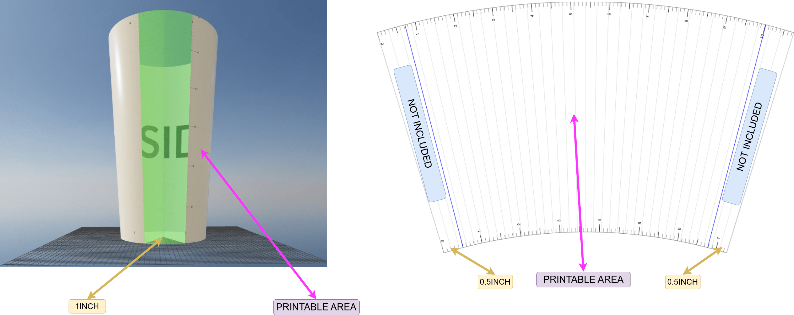 Arc Length Visualization