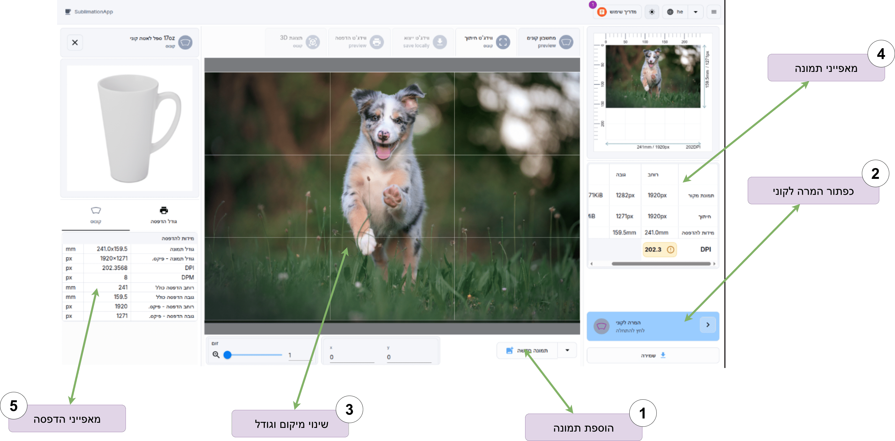Crop Widget Interface