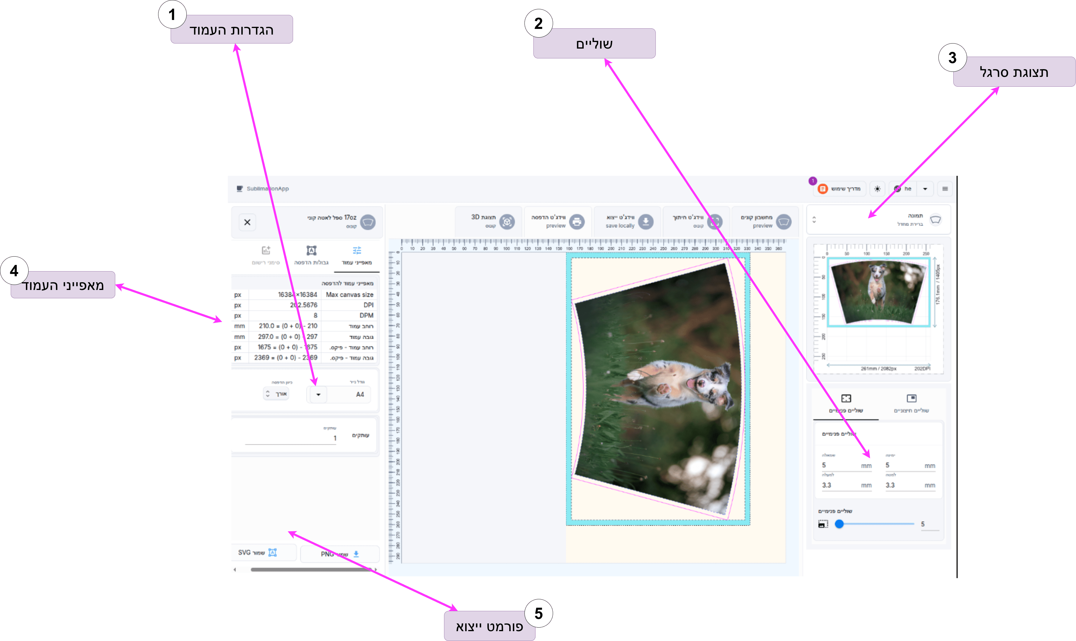 Print Widget Interface